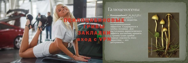 молекула духа Алексеевка