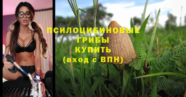 бутират Алексин