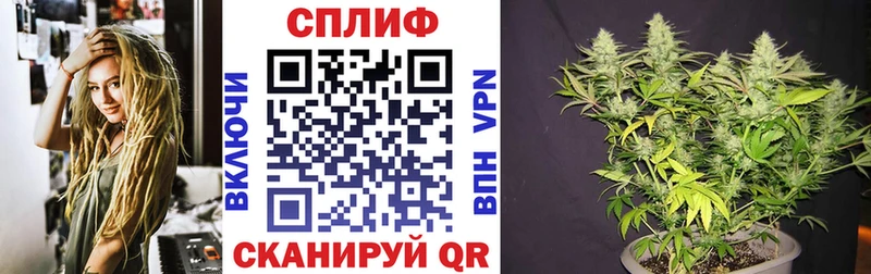 Шишки марихуана план наркошоп Чаплыгин
